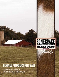 2019 Bonebrake Sale Catalog