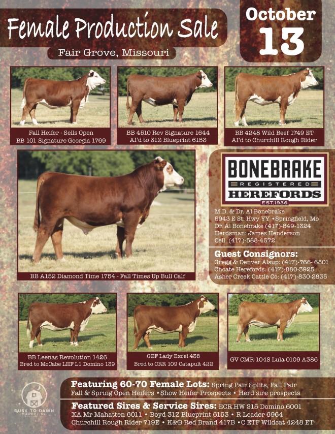 Hereford Cattle | Bonebrake Herefords